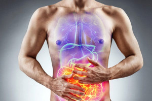 enfermedad metabolica