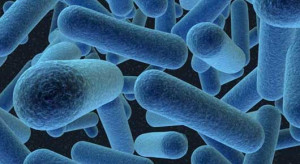 microbioma longevidad