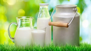debo tomar leche, beneficios alergias