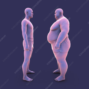 Average weight person and overweight person, illustration