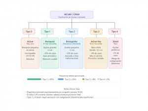 malformación congénita de la vía aérea