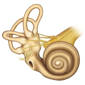 vértigo paroxístico benigno